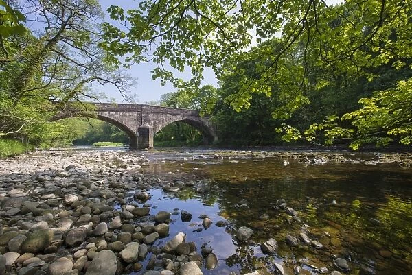View of river and bridge, Doeford Bridge, River Hodder, Whitewell, Forest of Bowland, Lancashire, England, June
