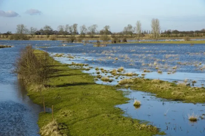 Framed Print : View of river flooding farmland, River Derwent, Bubwith, Selby, East Riding of Yorkshire, England, january Framed Print : View of river flooding farmland, River Derwent, Bubwith, Selby, East Riding of Yorkshire, England, january