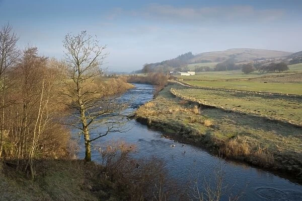 View of river flowing through farmland, looking towards Dunsop Bridge, River Hodder, Whitewell, Lancashire, England