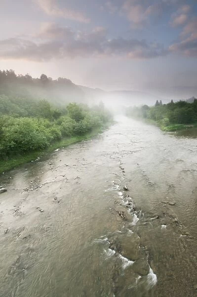 View of river and forest at sunrise, River San, Bieszczady N. P. Bieszczady Mountains, Outer Eastern Carpathians