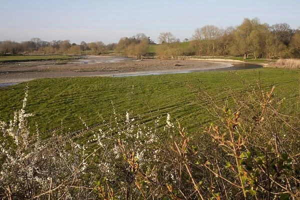 View of river with gravel banks, River Severn, Dolydd Hafren Nature Reserve, Montgomeryshire Wildlife Trust, Powys