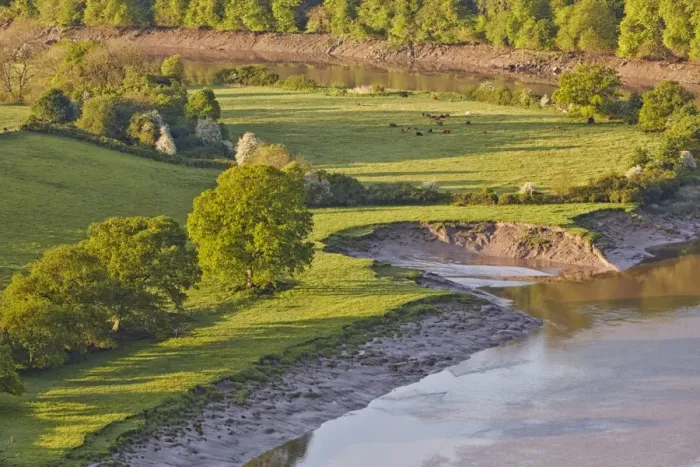 Framed Print : View of river with riverbank erosion at dawn, Lower Wyndcliff, Chepstow, River Wye, Lower Wye Valley, Monmouthshire Framed Print : View of river with riverbank erosion at dawn, Lower Wyndcliff, Chepstow, River Wye, Lower Wye Valley, Monmouthshire