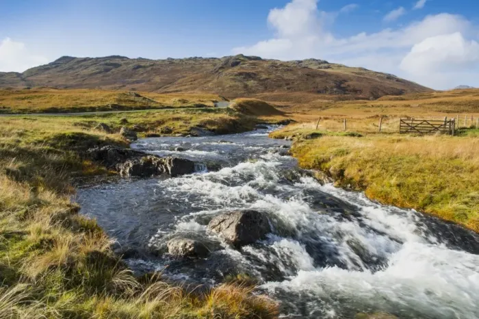 Framed Print : View of river beside road in upland habitat, looking towards Hardknott Pass, Moasdale Beck, Lake District N. P Framed Print : View of river beside road in upland habitat, looking towards Hardknott Pass, Moasdale Beck, Lake District N. P