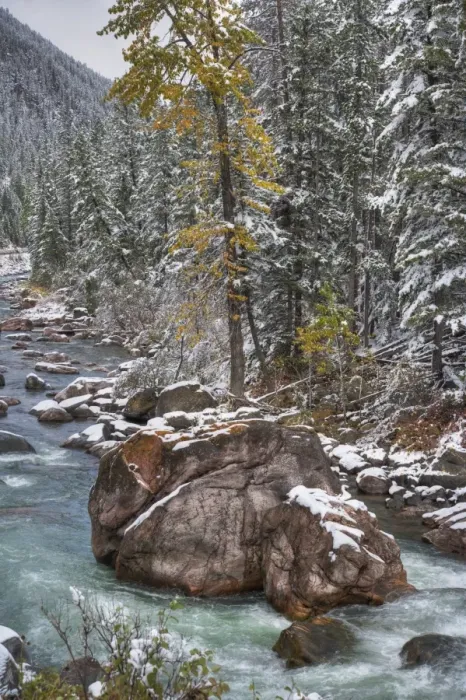 Framed Print : View of river, rocks and forest in snow, Gallatin River Canyon, Montana, U. S. A. October Framed Print : View of river, rocks and forest in snow, Gallatin River Canyon, Montana, U. S. A. October