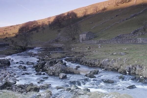 View of river, stone barn, drystone walls and bare trees, upland valley habitat in evening light, River Wharfe