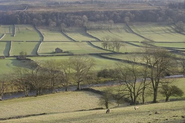 View of river, stone building, drystone walls, bare trees and hillside, River Wharfe, Kettlewell, Wharfedale