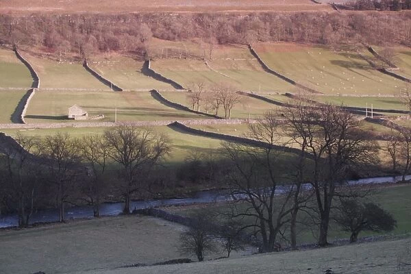 View of river, stone building, drystone walls, bare trees and hillside in evening light, River Wharfe, Kettlewell