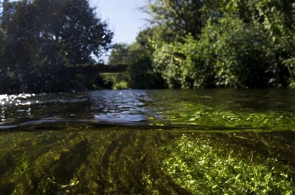 View of river from above and below surface of water, Fairham Brook, Nottingham, Nottinghamshire, England, August