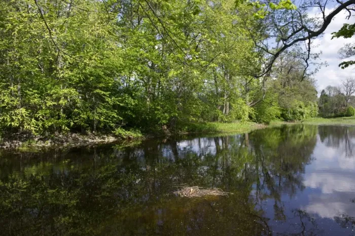 Framed Print : View of river and trees on riverbank, Tamnar River, Vastland, Uppland, Sweden, may Framed Print : View of river and trees on riverbank, Tamnar River, Vastland, Uppland, Sweden, may