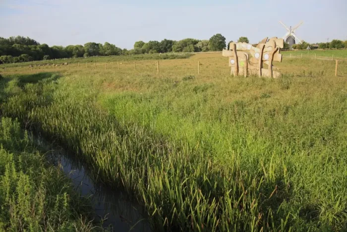 Framed Print : View of river, wooden information sign, fen meadow and windmill in distance, Little Ouse Headwaters Project Framed Print : View of river, wooden information sign, fen meadow and windmill in distance, Little Ouse Headwaters Project