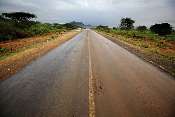 View of road through bush habitat after rainfall, with mountain range in distance, South Pare Mountains