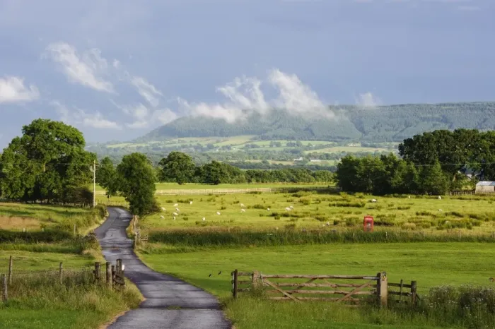 Framed Print : View of road through farmland with sheep flock grazing in pasture, looking towards Longridge Fell from Dinkling Green Framed Print : View of road through farmland with sheep flock grazing in pasture, looking towards Longridge Fell from Dinkling Green