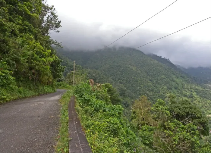 Framed Print : View of road through prime forest habitat, with rain clouds moving down mountain, Blue Mountains N. P Framed Print : View of road through prime forest habitat, with rain clouds moving down mountain, Blue Mountains N. P
