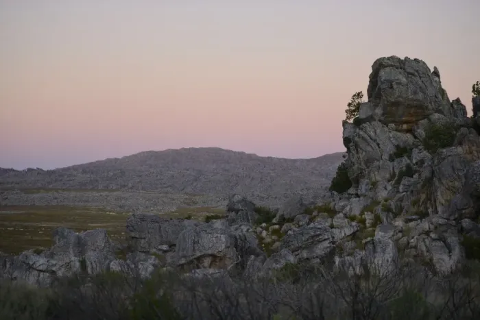 Framed Print : View of rock formations in upland habitat at sunset, Winterhoekberge, Western Cape, South Africa, February Framed Print : View of rock formations in upland habitat at sunset, Winterhoekberge, Western Cape, South Africa, February