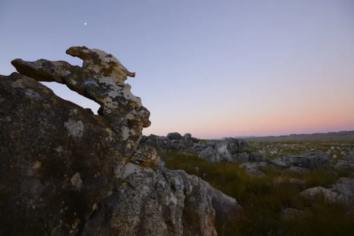 Framed Print : View of rock formations in upland habitat at sunset, Winterhoekberge, Western Cape, South Africa, February Framed Print : View of rock formations in upland habitat at sunset, Winterhoekberge, Western Cape, South Africa, February