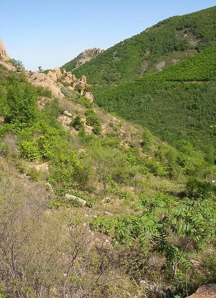 View over rocky scrub habitat on mountainside, Zushan Forest Park, Qinhuangdao, China, may