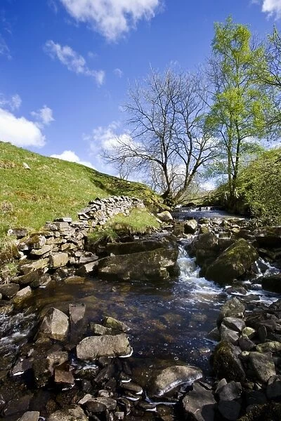 View of rocky stream with cascades, Dentdale, Yorkshire Dales N. P. North Yorkshire, England, may