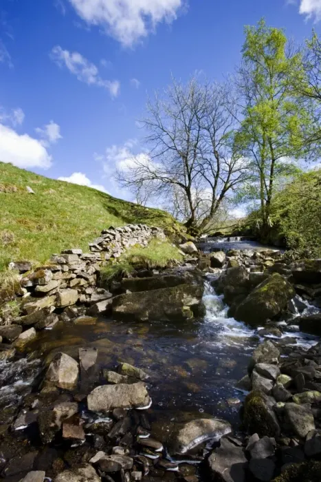 Framed Print : View of rocky stream with cascades, Dentdale, Yorkshire Dales N. P. North Yorkshire, England, may Framed Print : View of rocky stream with cascades, Dentdale, Yorkshire Dales N. P. North Yorkshire, England, may