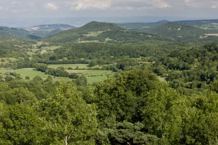 Framed Print : View of rolling wooded volcanic countryside, looking east from Murol, Auvergne, France, August Framed Print : View of rolling wooded volcanic countryside, looking east from Murol, Auvergne, France, August