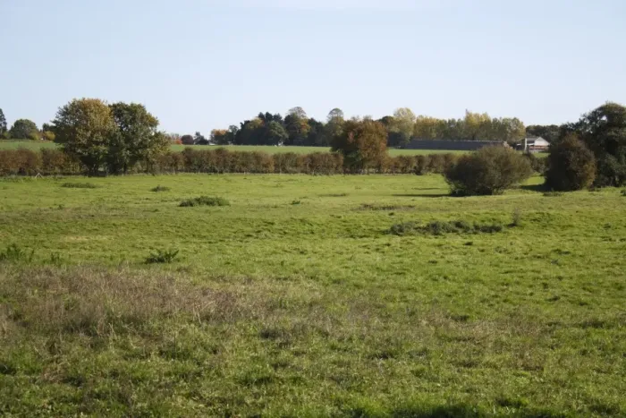 Framed Print : View of rough pasture, Roydon, Waveney Valley, Norfolk, England, october Framed Print : View of rough pasture, Roydon, Waveney Valley, Norfolk, England, october