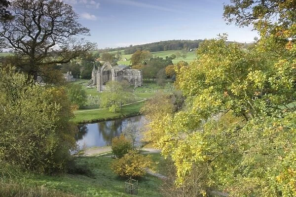 View of ruined 12th century Augustinian priory and river, Bolton Priory, River Wharfe, Bolton Abbey Estate, Wharfedale, Yorkshire Dales N. P. North Yorkshire, England, october