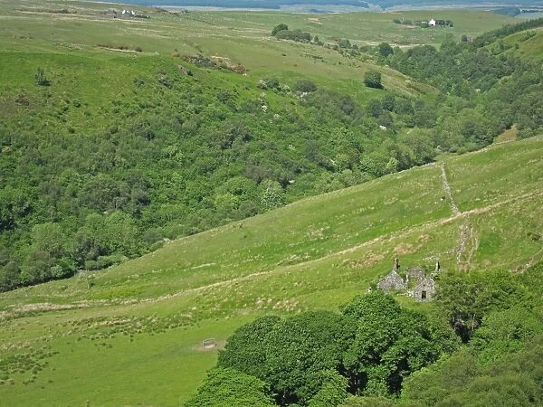 View of ruined buildings and wooded valley, Balkissock, South Ayrshire, Scotland, june