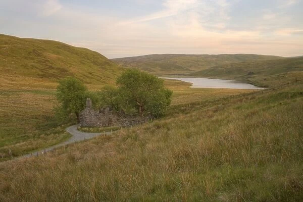 View of ruined farmhouse and isolated mountain lake in evening light, Bugeilyn, near Plynlimon, Cambrian Mountains