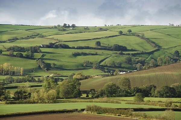 View of rural landscape with farmland of mixed arable and pasture with hedgerows, Clun, Shropshire, England, october