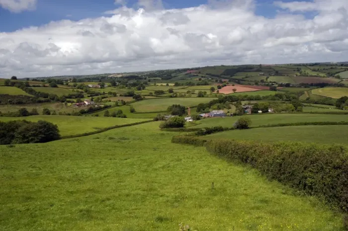 Framed Print : View of rural landscape with pasture and hedgerows, near Stockleigh Pomeroy, Tiverton, Devon, England, may Framed Print : View of rural landscape with pasture and hedgerows, near Stockleigh Pomeroy, Tiverton, Devon, England, may