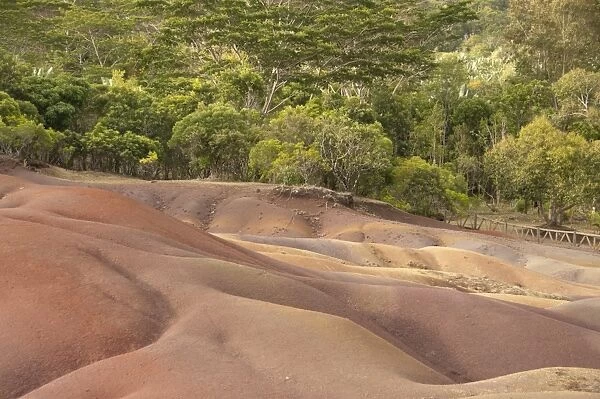 View of sand dunes comprising of different coloured sands, caused by decomposed basalt gullies of ferralitic soil, red colour caused by iron sesquioxydes and blue colour caused by aluminium sesquioxydes, Seven Coloured Earths, Chamarel