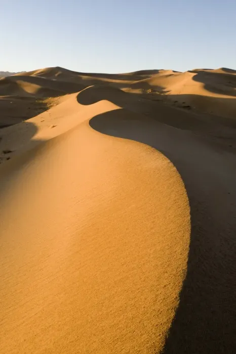 Framed Print : View of sand dunes in desert habitat, Khongoryn Els Sand Dunes, Southern Gobi Desert, Mongolia, october Framed Print : View of sand dunes in desert habitat, Khongoryn Els Sand Dunes, Southern Gobi Desert, Mongolia, october