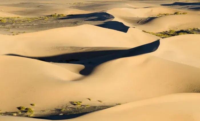 Framed Print : View of sand dunes in desert habitat, Khongoryn Els Sand Dunes, Southern Gobi Desert, Mongolia, october