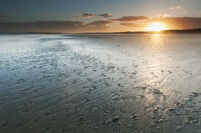 Framed Print : View of sandy beach during low tide at sunset, Camber Sands, East Sussex, England, June Framed Print : View of sandy beach during low tide at sunset, Camber Sands, East Sussex, England, June
