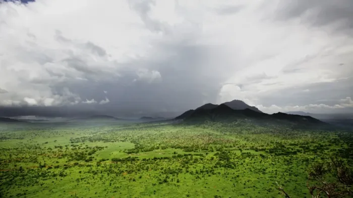 Framed Print : View of savannah habitat, Tsavo West N. P. Kenya, December Framed Print : View of savannah habitat, Tsavo West N. P. Kenya, December