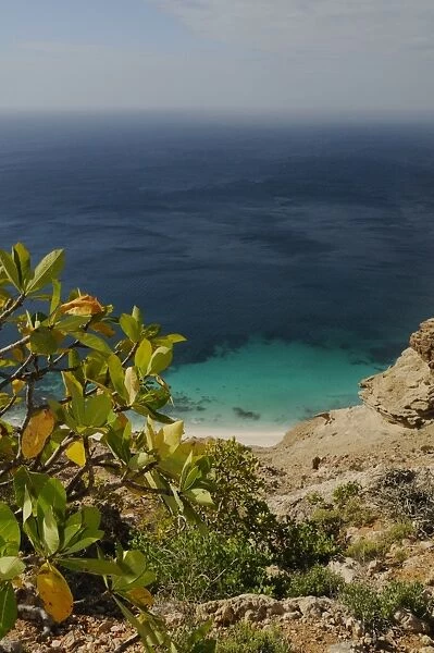 View of sea from southern coast clifftop habitat, Socotra, Yemen, december