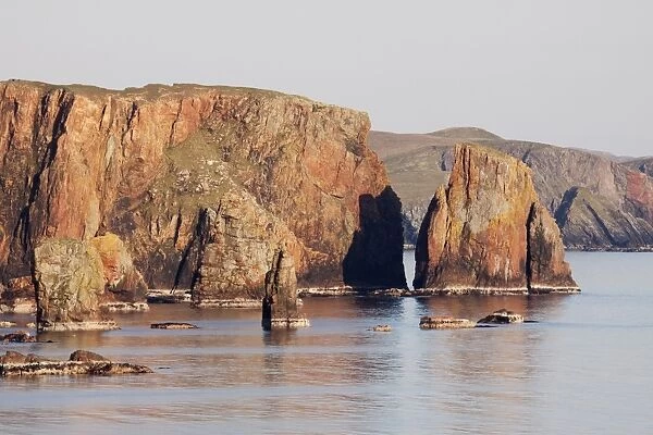 View of sea stacks and cliffs in late afternoon sunlight, Braewick, Mainland, Shetland Islands, Scotland, May