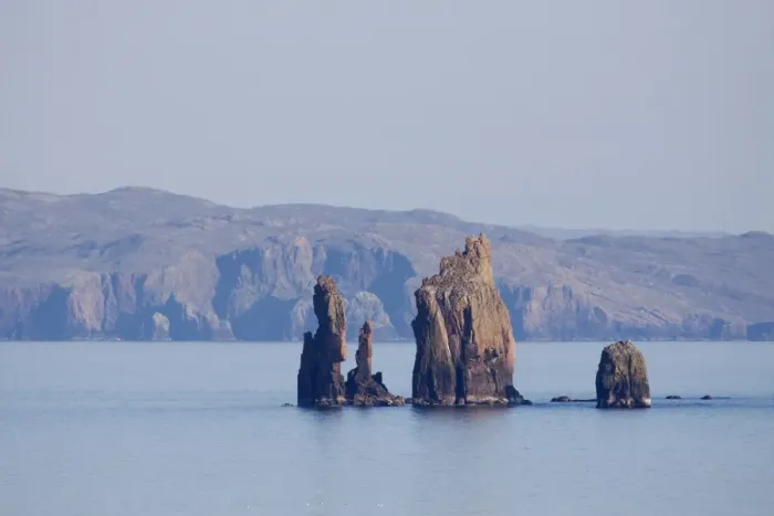 Framed Print : View of sea stacks, The Drongs, Mainland, Shetland Islands, Scotland, May Framed Print : View of sea stacks, The Drongs, Mainland, Shetland Islands, Scotland, May