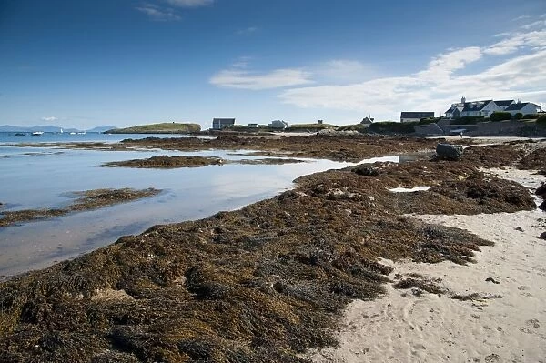 View of seaweed on beach and coastline, Borthwen, Cymyran Bay, Anglesey, North Wales, august