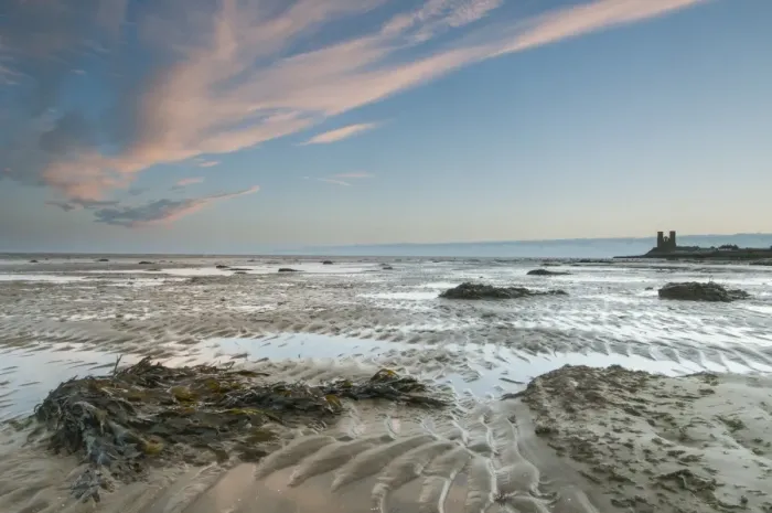 Framed Print : View of seaweed on beach at low tide, with 12th Century ruined church in distance at sunrise, New Years Day, St Framed Print : View of seaweed on beach at low tide, with 12th Century ruined church in distance at sunrise, New Years Day, St