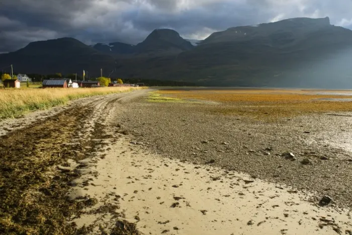 Framed Print : View of seaweed on beach at low tide, Lyngen Fjord, Skibotn, Lapland, North Norway, September Framed Print : View of seaweed on beach at low tide, Lyngen Fjord, Skibotn, Lapland, North Norway, September