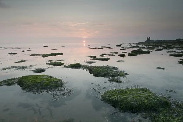 View of seaweed covered rocks on beach at low tide, with 12th Century ruined church in distance at sunrise, St