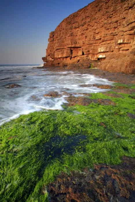 Framed Print : View of seaweed on rocky beach and old quarry on cliffs at dawn, Winspit Bay, near Worth Matravers, Isle of Purbeck Framed Print : View of seaweed on rocky beach and old quarry on cliffs at dawn, Winspit Bay, near Worth Matravers, Isle of Purbeck