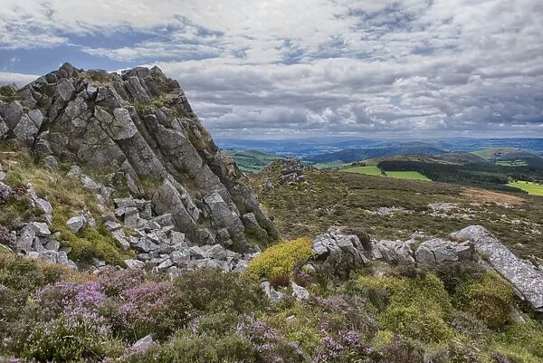 View of shattered rock on quartzite ridge and hill, Stiperstones, Shropshire, England, August