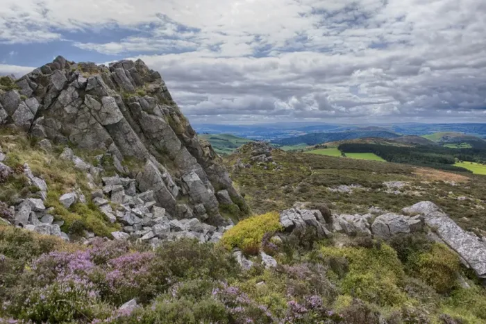 Framed Print : View of shattered rock on quartzite ridge and hill, Stiperstones, Shropshire, England, August Framed Print : View of shattered rock on quartzite ridge and hill, Stiperstones, Shropshire, England, August