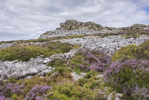 View of shattered rock on quartzite ridge and hill, Stiperstones, Shropshire, England, August