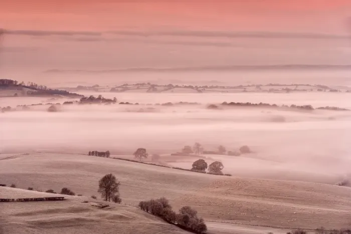 Framed Print : View of sheep flock on frost covered pasture in mist at sunrise, Cobblers Plain, Monmouthshire, Wales, November Framed Print : View of sheep flock on frost covered pasture in mist at sunrise, Cobblers Plain, Monmouthshire, Wales, November