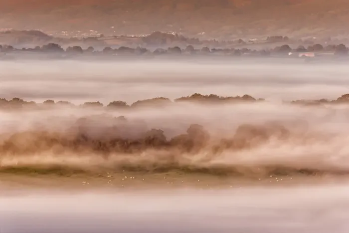 Framed Print : View of sheep flock grazing on pasture in mist at sunrise, Cobblers Plain, Usk Valley, Monmouthshire, Wales, October Framed Print : View of sheep flock grazing on pasture in mist at sunrise, Cobblers Plain, Usk Valley, Monmouthshire, Wales, October