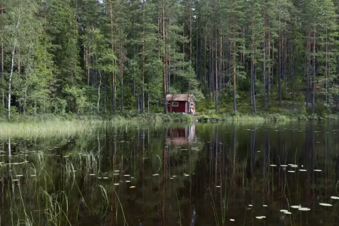 Framed Print : View of small cottage in coniferous forest beside lake, Vastmanland, Sweden, july Framed Print : View of small cottage in coniferous forest beside lake, Vastmanland, Sweden, july