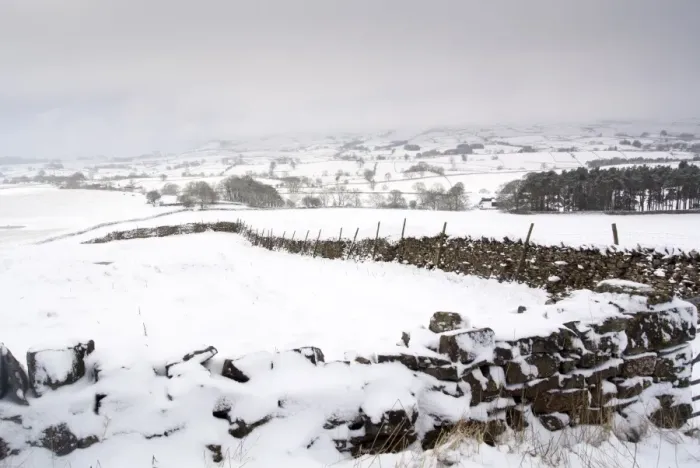 Framed Print : View of snow covered drystone walls and farmland during snowstorm, Cumbria, England, March Framed Print : View of snow covered drystone walls and farmland during snowstorm, Cumbria, England, March