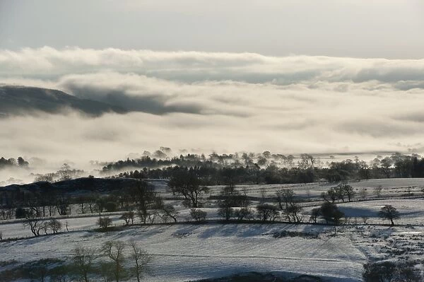 View of snow covered farmland in mist, looking towards Longridge Fell from Long Knots, Whitewell, Lancashire, England, december